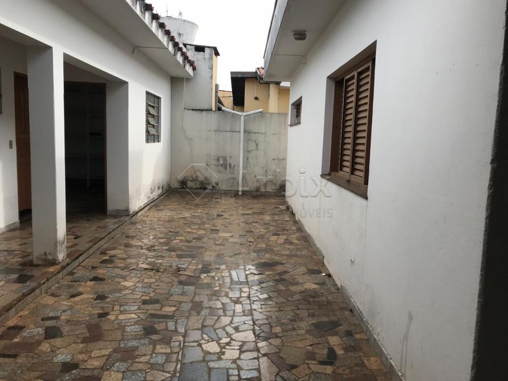 Alugar Casa / Residencial em Americana R$ 3.200,00 - Foto 19