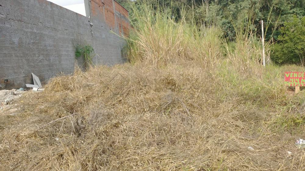 Comprar Terreno / Residencial em Santa Bárbara D`Oeste R$ 340.000,00 - Foto 2