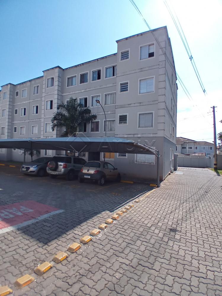 Alugar Apartamento / Apartamento em Americana R$ 950,00 - Foto 12