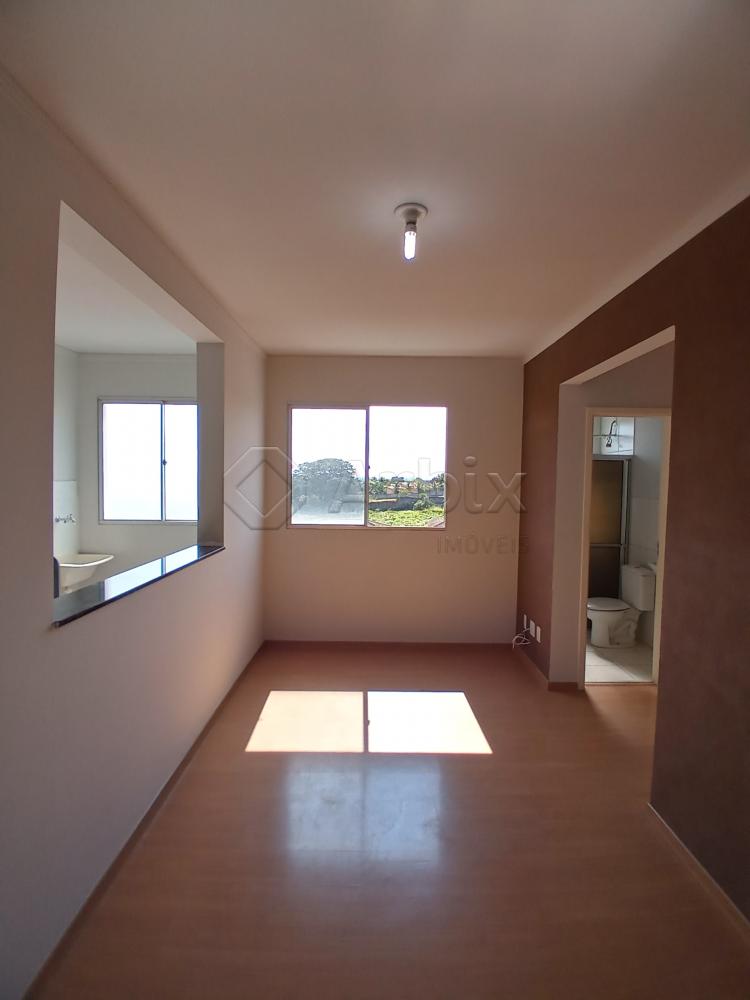 Alugar Apartamento / Apartamento em Americana R$ 950,00 - Foto 2