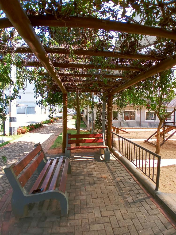 Alugar Apartamento / Apartamento em Americana R$ 950,00 - Foto 19