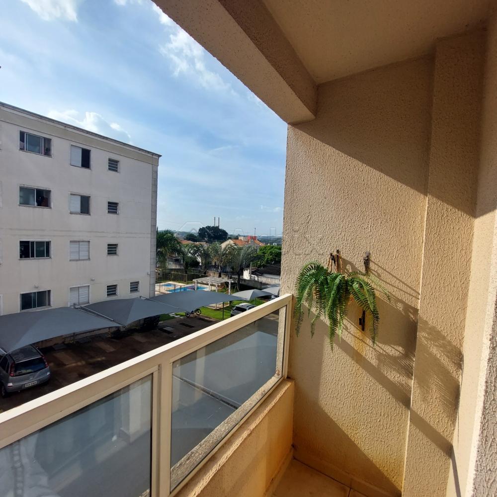 Alugar Apartamento / Apartamento em Americana R$ 1.200,00 - Foto 2