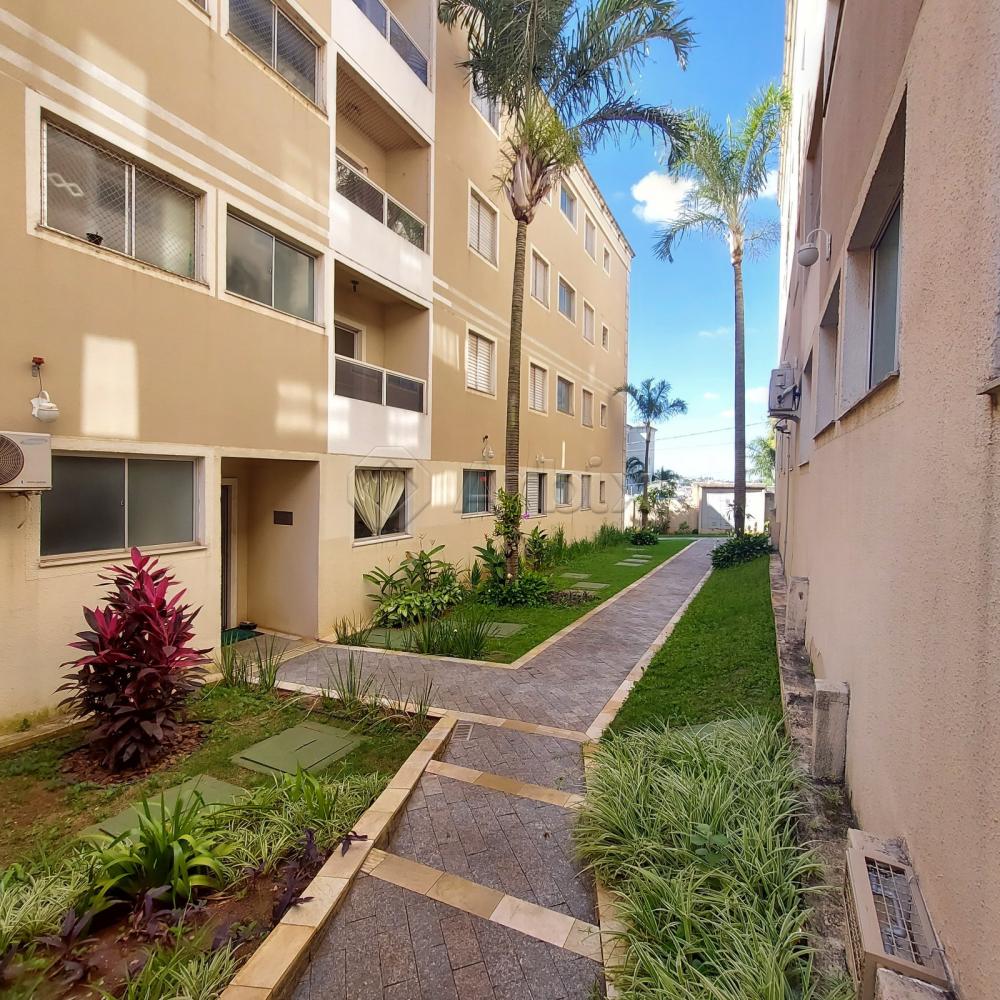 Alugar Apartamento / Apartamento em Americana R$ 1.200,00 - Foto 46