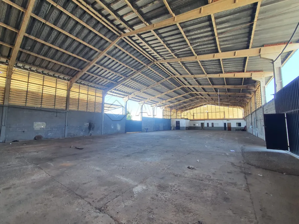 Alugar Comercial / Salão Industrial em Americana R$ 13.000,00 - Foto 10