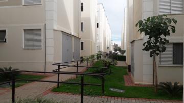 imagem 4 - Apartamento à venda no Condomínio Parque Alliance em Americana/SP imagem 4 - Apartamento à venda no Condomínio Parque Alliance em Americana/SP