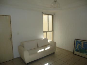 imagem 2 - Apartamento à venda R$ 360.000,00 - Residencial Alpes - Centro - Americana /SP imagem 2 - Apartamento à venda R$ 360.000,00 - Residencial Alpes - Centro - Americana /SP