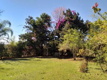 imagem 1 - Rural - Chácara imagem 1 - Rural - Chácara