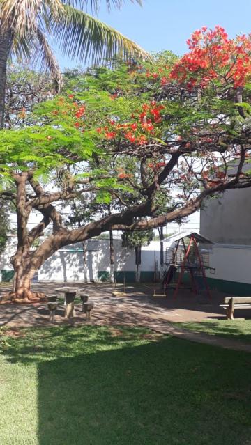 imagem 4 - Salão comercial à venda por R$1.590.000,00 no Parque Novo Mundo em Americana/SP imagem 4 - Salão comercial à venda por R$1.590.000,00 no Parque Novo Mundo em Americana/SP
