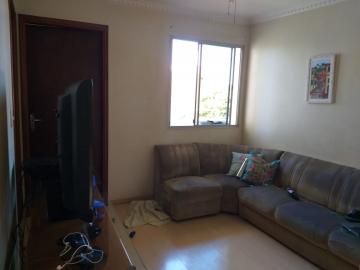 imagem 1 - Apartamento à venda por R$600.000,00 no Edifício Aziz Domingos em Americana/SP imagem 1 - Apartamento à venda por R$600.000,00 no Edifício Aziz Domingos em Americana/SP