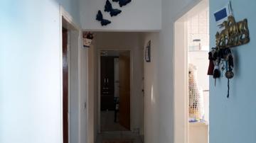 imagem 3 - Casa à venda por R$450.000,00 no Bairro Cidade Nova em Santa Bárbara d'Oeste/SP imagem 3 - Casa à venda por R$450.000,00 no Bairro Cidade Nova em Santa Bárbara d'Oeste/SP