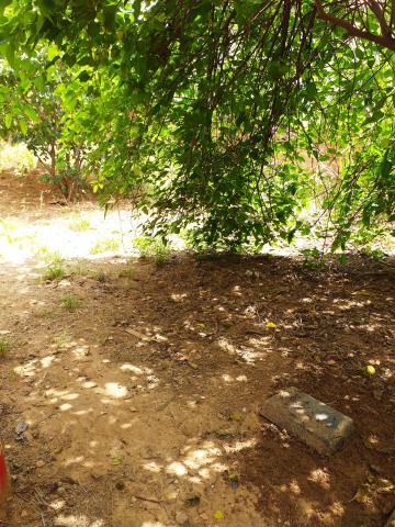 imagem 1 - Terreno à venda Praia dos Namorados imagem 1 - Terreno à venda Praia dos Namorados