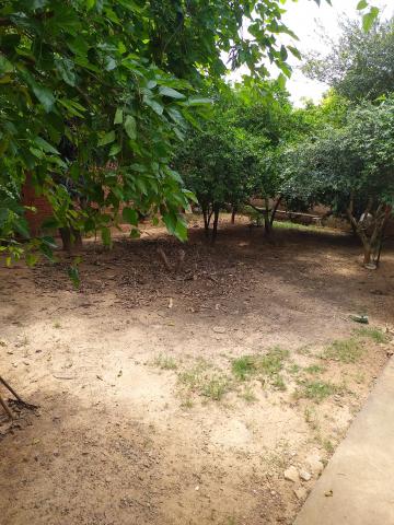 imagem 4 - Terreno à venda Praia dos Namorados imagem 4 - Terreno à venda Praia dos Namorados