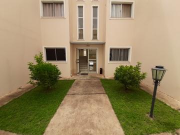 Apartamento para locação e á venda no Residencial Canto das Águas - Jardim Brasil - Americana/SP
