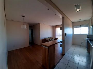 Apartamento com lazer  à venda em Americana - Vila Belvedere