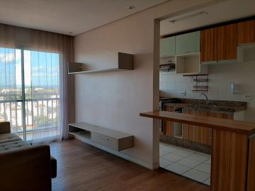 Apartamento com lazer  à venda em Americana - Vila Belvedere