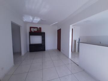 Apartamento para locação e venda no Jardim Santana em Americana/SP