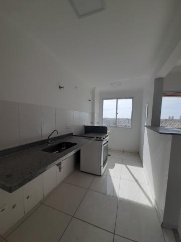 Apartamento para locação e venda no Jardim Santana em Americana/SP