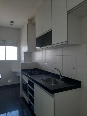 imagem 3 - Apartamento locação e venda no Residencial Clube Colore em Americana/SP. imagem 3 - Apartamento locação e venda no Residencial Clube Colore em Americana/SP.