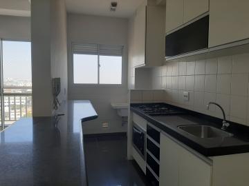 imagem 4 - Apartamento locação e venda no Residencial Clube Colore em Americana/SP. imagem 4 - Apartamento locação e venda no Residencial Clube Colore em Americana/SP.