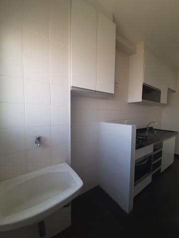 imagem 5 - Apartamento locação e venda no Residencial Clube Colore em Americana/SP. imagem 5 - Apartamento locação e venda no Residencial Clube Colore em Americana/SP.
