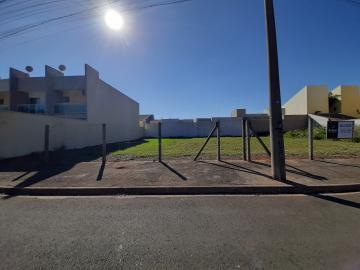 imagem 1 - Terreno disponível para alugar por R$ 800,00/mês no Jardim Terramérica I em Americana/SP. imagem 1 - Terreno disponível para alugar por R$ 800,00/mês no Jardim Terramérica I em Americana/SP.