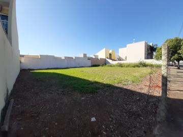 imagem 2 - Terreno disponível para alugar por R$ 800,00/mês no Jardim Terramérica I em Americana/SP. imagem 2 - Terreno disponível para alugar por R$ 800,00/mês no Jardim Terramérica I em Americana/SP.