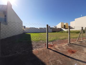 imagem 3 - Terreno disponível para alugar por R$ 800,00/mês no Jardim Terramérica I em Americana/SP. imagem 3 - Terreno disponível para alugar por R$ 800,00/mês no Jardim Terramérica I em Americana/SP.
