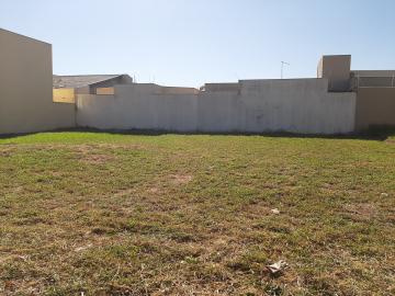imagem 2 - Terreno disponível para alugar por R$ 800,00/mês no Jardim Terramérica I em Americana/SP. imagem 2 - Terreno disponível para alugar por R$ 800,00/mês no Jardim Terramérica I em Americana/SP.