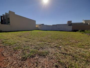 imagem 3 - Terreno disponível para alugar por R$ 800,00/mês no Jardim Terramérica I em Americana/SP. imagem 3 - Terreno disponível para alugar por R$ 800,00/mês no Jardim Terramérica I em Americana/SP.
