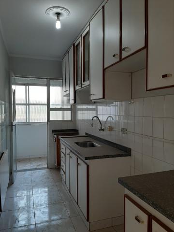 Alugar Apartamento / Padrão em Americana. apenas R$ 700,00