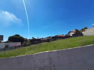imagem 2 - Terreno - Área imagem 2 - Terreno - Área