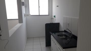 imagem 1 - Apartamento para alugar no Residencial Spazio Beach em Americana/SP. imagem 1 - Apartamento para alugar no Residencial Spazio Beach em Americana/SP.