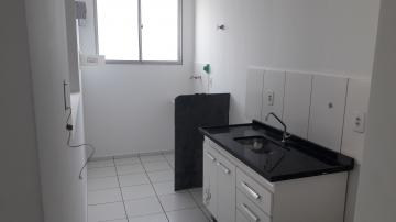 imagem 3 - Apartamento para alugar no Residencial Spazio Beach em Americana/SP. imagem 3 - Apartamento para alugar no Residencial Spazio Beach em Americana/SP.