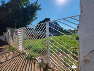 imagem 3 - Terreno disponível para alugar por R$800,00/mês no Nova Americana em Americana/SP. imagem 3 - Terreno disponível para alugar por R$800,00/mês no Nova Americana em Americana/SP.