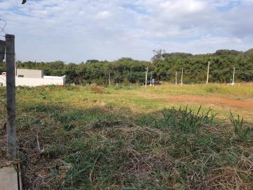 imagem 3 - Terreno - Comercial imagem 3 - Terreno - Comercial