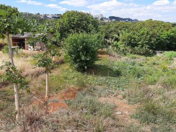 Terreno à venda Jd. Bela Vista -Americana