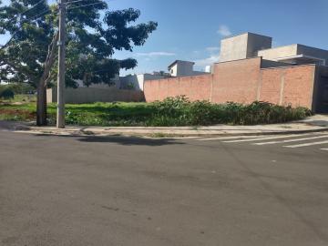 imagem 1 - Terreno à venda no bairro Residencial Dona Margarida em Santa Bárbara d`Oeste/SP imagem 1 - Terreno à venda no bairro Residencial Dona Margarida em Santa Bárbara d`Oeste/SP