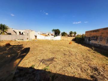 imagem 5 - Terreno à venda R$530.000,00 no bairro Chácara Machadinho II em Americana/SP imagem 5 - Terreno à venda R$530.000,00 no bairro Chácara Machadinho II em Americana/SP