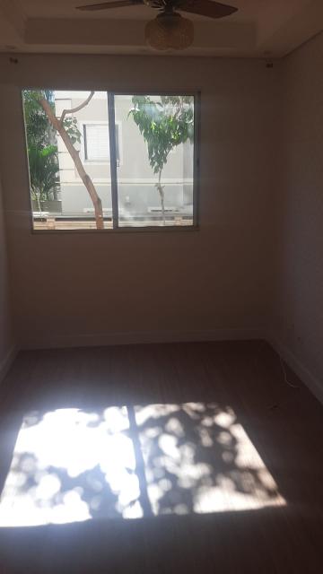 Alugar Apartamento / Padrão em Americana. apenas R$ 540,00