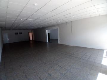 imagem 3 - Galpão / Salão comercial para alugar no bairro Vila Santa Catarina em Americana/SP imagem 3 - Galpão / Salão comercial para alugar no bairro Vila Santa Catarina em Americana/SP