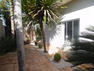 imagem 4 - Casa disponível para alugar ou vender no Bairro Werner Plaas em Americana/SP imagem 4 - Casa disponível para alugar ou vender no Bairro Werner Plaas em Americana/SP