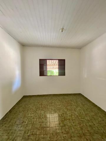 imagem 5 - Casa para locação com 01 dormitório Vila Mathiensen imagem 5 - Casa para locação com 01 dormitório Vila Mathiensen