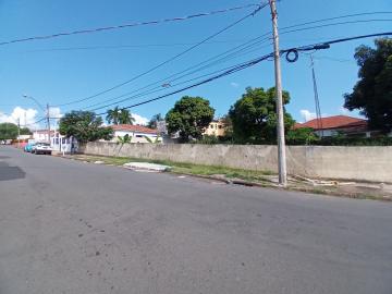 imagem 3 - Terreno disponível para locação no bairro Chácara Machadinho em Americana/SP. imagem 3 - Terreno disponível para locação no bairro Chácara Machadinho em Americana/SP.