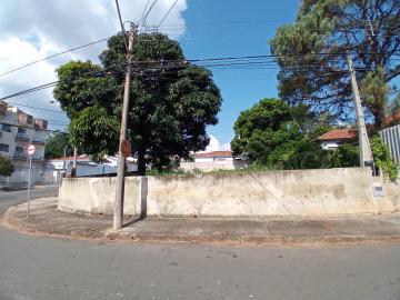 imagem 4 - Terreno disponível para locação no bairro Chácara Machadinho em Americana/SP. imagem 4 - Terreno disponível para locação no bairro Chácara Machadinho em Americana/SP.