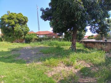 imagem 5 - Terreno disponível para locação no bairro Chácara Machadinho em Americana/SP. imagem 5 - Terreno disponível para locação no bairro Chácara Machadinho em Americana/SP.