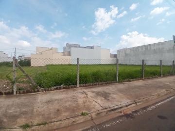imagem 5 - Terreno disponível para alugar por R$ 600,00/mês no Parque Universitário em Americana/SP. imagem 5 - Terreno disponível para alugar por R$ 600,00/mês no Parque Universitário em Americana/SP.