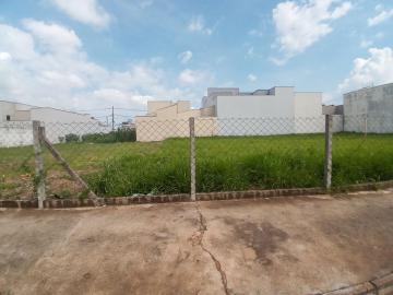 imagem 3 - Terreno disponível para alugar por R$ 600,00/mês no Parque Universitário em Americana/SP. imagem 3 - Terreno disponível para alugar por R$ 600,00/mês no Parque Universitário em Americana/SP.