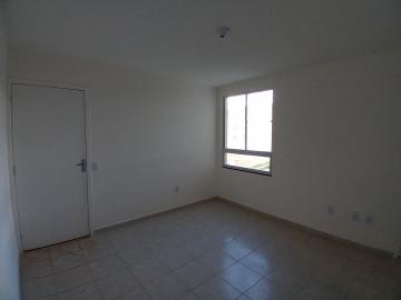 imagem 5 - Apartamento para Venda e locação no Jardim Da Balsa II em Americana/SP. imagem 5 - Apartamento para Venda e locação no Jardim Da Balsa II em Americana/SP.