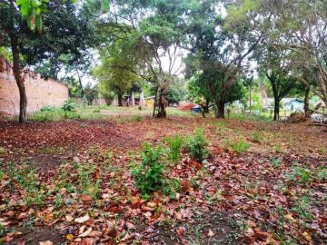 Terreno à Venda no bairro Chácara Acapulco, Nova Odessa.