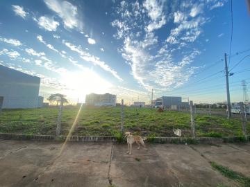 imagem 2 - Terreno comercial para locação por R$ 8.500,00/mês no Parque Universitário em Americana/SP. imagem 2 - Terreno comercial para locação por R$ 8.500,00/mês no Parque Universitário em Americana/SP.
